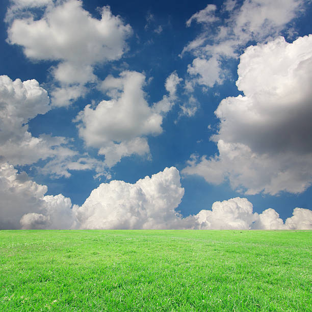 istock The landscapes background blue sky with clouds retouch 538794100