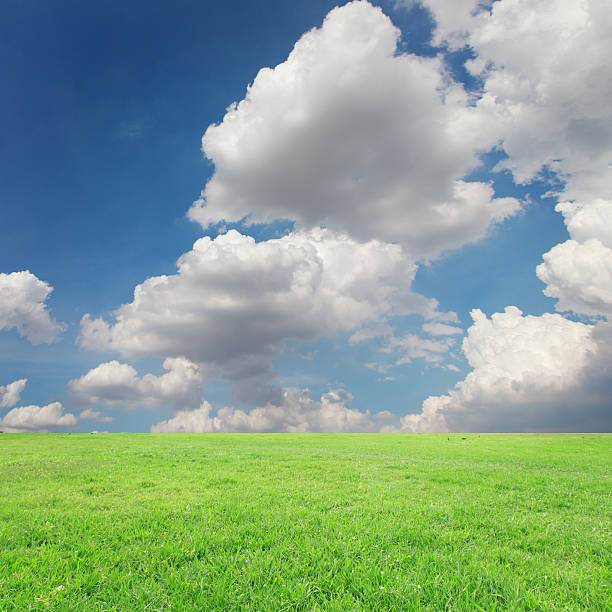 istock The landscapes background blue sky with clouds retouch 538794728