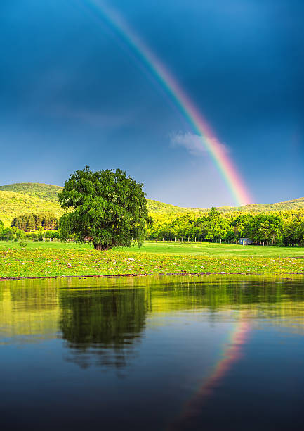 arco iris sobre un lago, refleja en el agua - forest pond landscaped water fotografías e imágenes de stock