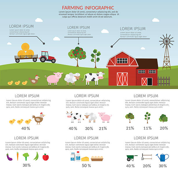 ilustrações de stock, clip art, desenhos animados e ícones de infográfico vector de produtos agrícolas - vegitables