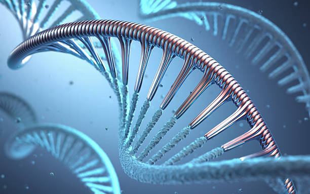 DNA Genetic Engineering 3D illustration, concept of genetic engineering or genetic modification. artificial stock pictures, royalty-free photos & images