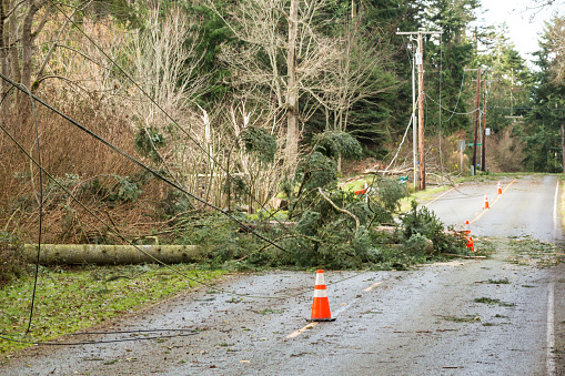 Fallen trees and damaged electrical power lines blocking a road; hazards after a natural disaster wind storm
