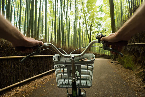 Cycling point of view of riding through a lush green bamboo forest
