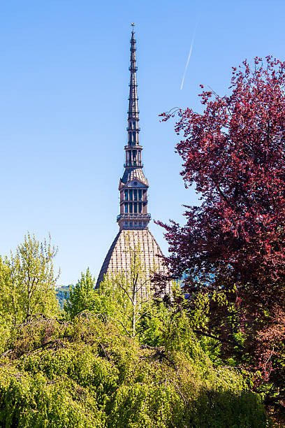 istock The Mole Antonelliana, a landmark in Turin, Italy 538797654