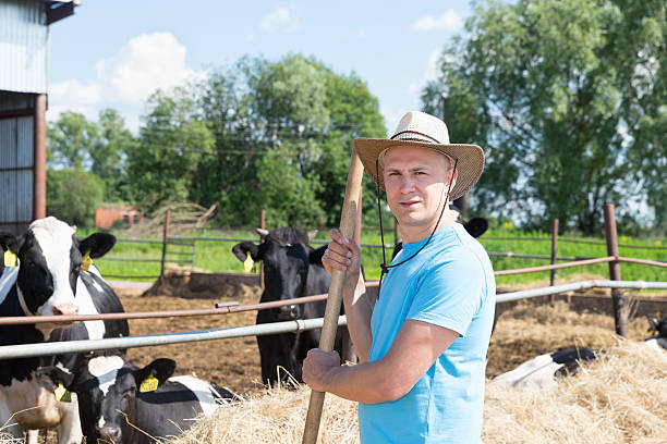 istock man farmer working on farm with dairy cows 538797894