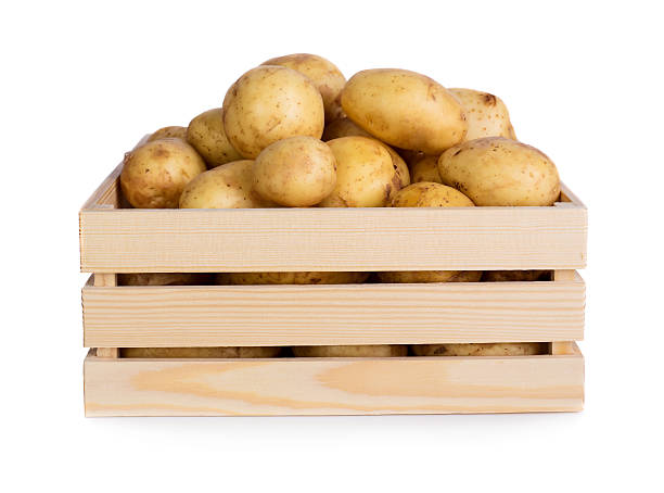 Potatoes stock photo
