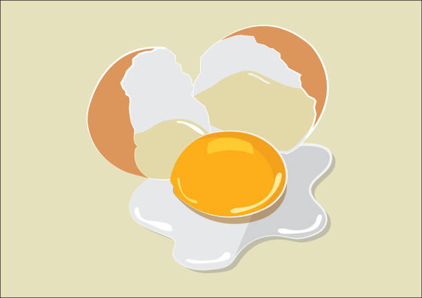 Broken Egg Flat Design Broken Egg Flat Design Illustrator EPS10 file. broken yolk stock illustrations