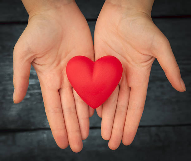 istock Red heart in the hands 538801214