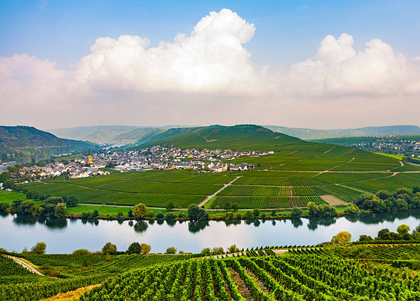 famous Moselle Sinuosity with vineyards