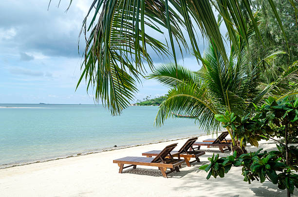 istock Sunbeds beside the tropical beach and ocean. 538803414