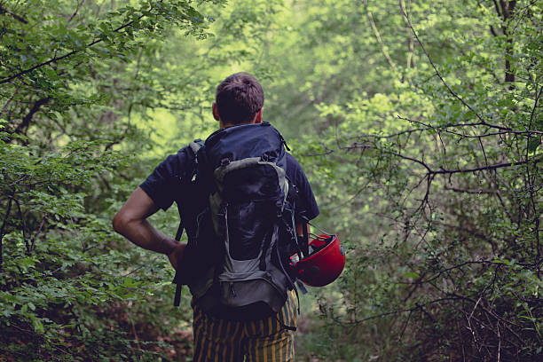 istock adventures in a dark forest - climbing a mountain 538803706