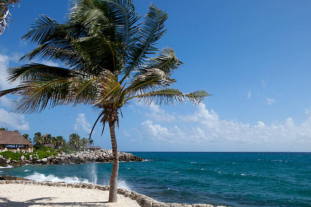 istock Tropical Vacation - Playa del Carmen, Mexico 538804752