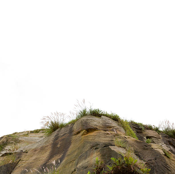Rock and wild grass, beautiful nature background, full frame square composition with copy space