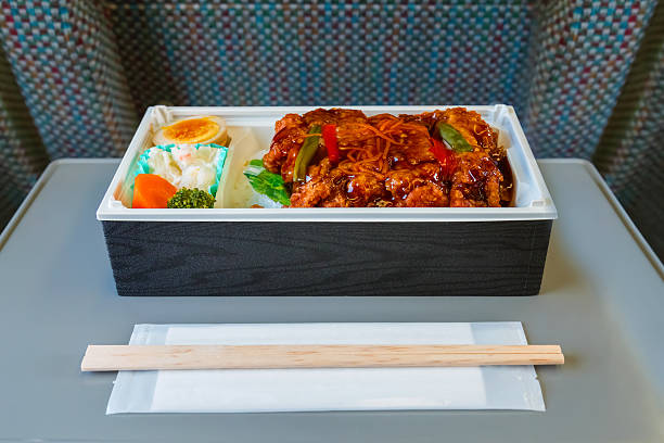 Japanese Meal Box (Bento) on a Japanese Bullet train