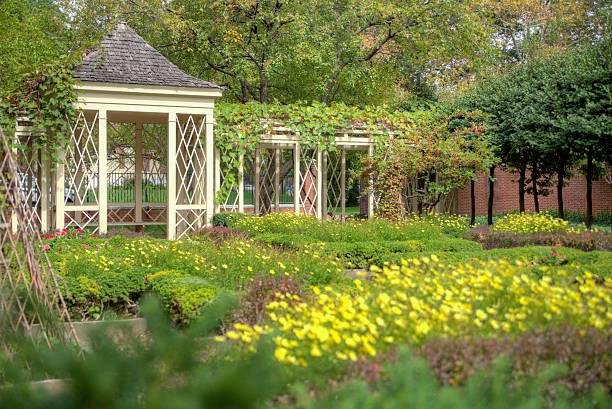 istock Gazebo in landscaped garden 538808818