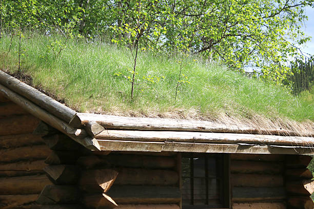 grass growing on a log cabin roof, with some trees growing upward and trees in the background, environmentally green living roof