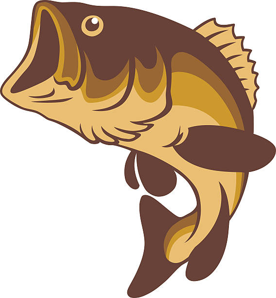 бас рыба - labrax stock illustrations