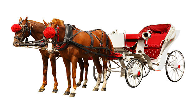 Horse Carriage Vintage carriage with horses isolated on white background. chariot photos stock pictures, royalty-free photos & images