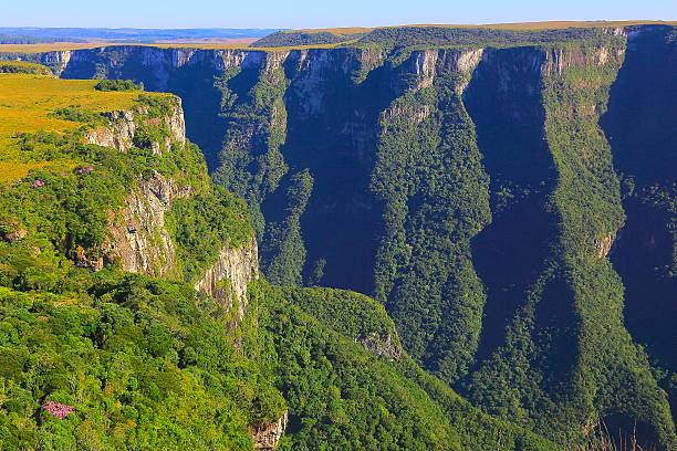 Canyon Fortaleza, Rio Grande do Sul, Santa Catarina, Southern Brazil Please, you can see in the link below Landscapes of southern Brazil, border with Uruguay and Argentina: beautiful pampa gaucho, fields, sunsets, sunrises, canyons, estancias (ranch, farms) and much more!! canyon itaimbezinho rio grande do sul santa catarina southern brazil stock pictures, royalty-free photos & images