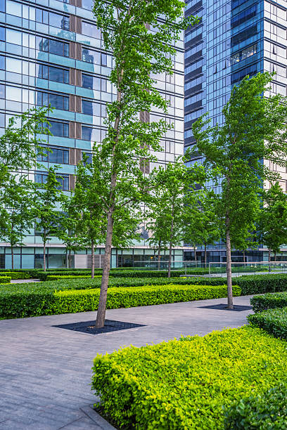 istock exterior of modern office buidling 538811114