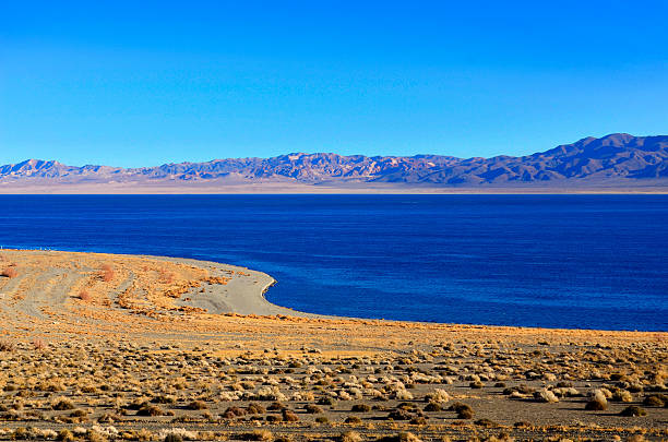 istock Walker Lake shoreline in Nevada 538811931