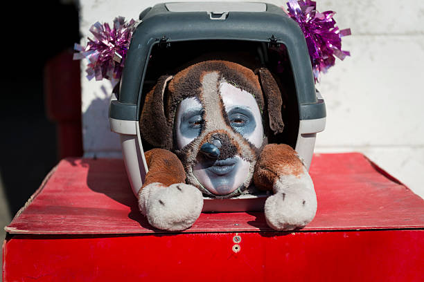 artista s'apresentando cachorro, carnaval de veneza na san marco, itália, a europa - mardi gras close up veneto italy - fotografias e filmes do acervo