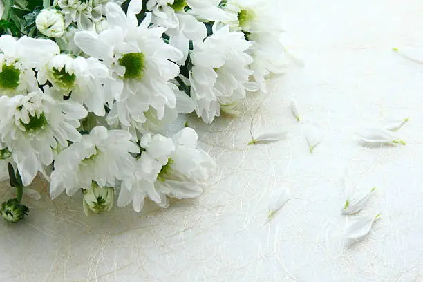 Photo of Bouquet of chrysanthemums