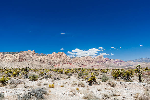 istock Red Rock Canyon Panoramic, Nevada, USA 538813815
