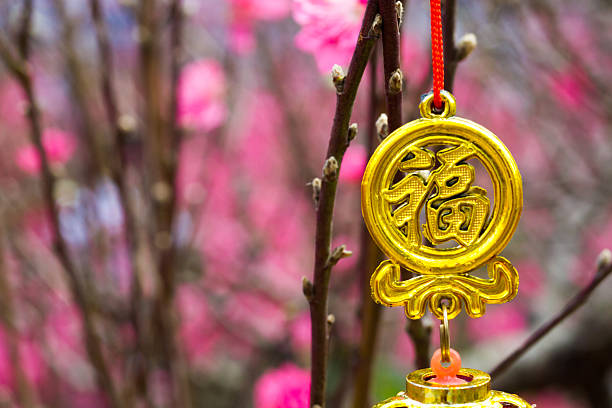 istock Chinese new year coin 538814749