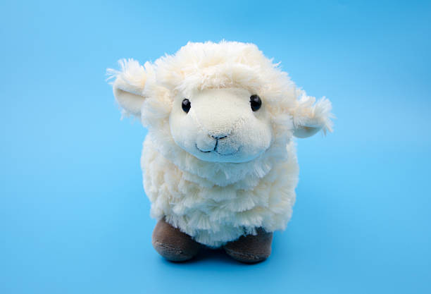 istock sheep toy isolated on a blue background 538827835