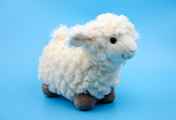 sheep toy isolated on a blue background stock photo