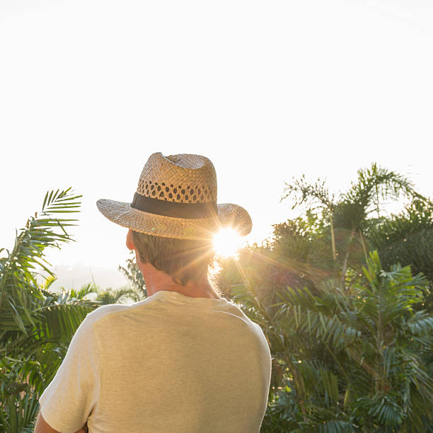 istock Man with hat looks out across jungle canopy, at sunrise 538828055