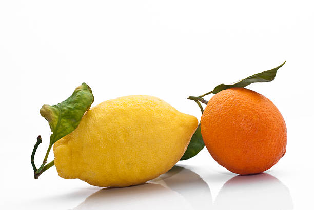 istock Sicilian Orange and Lemon 538828893