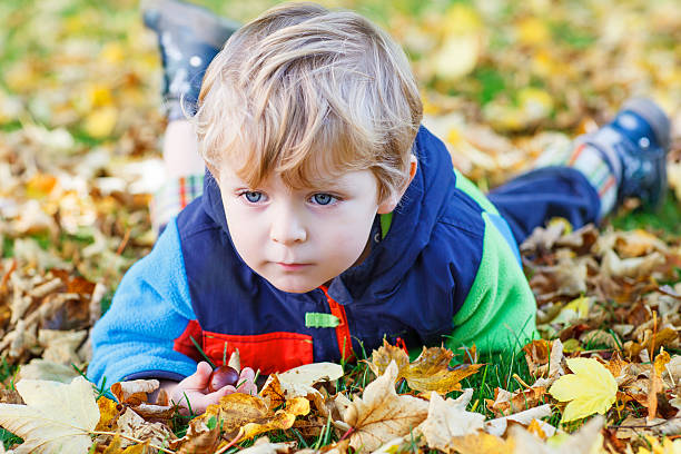 istock Cute kid boy having fun in autumn park 538829295