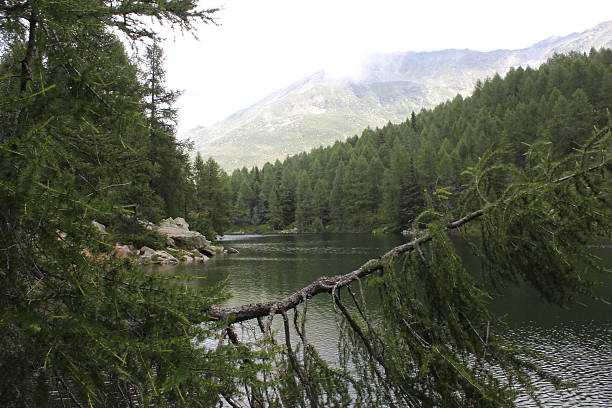 vista panoramica di blue lake, in un giorno opaco - madesimo immagine foto e immagini stock