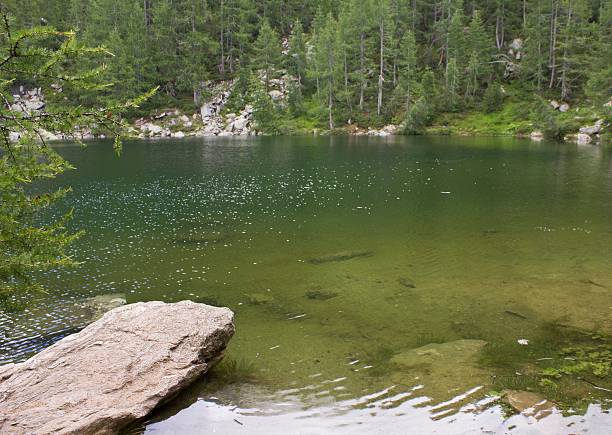 Scenic view of Lago Azzurro (Blue Lake), a lake through trees in the high mountains in Italy, in a dull day