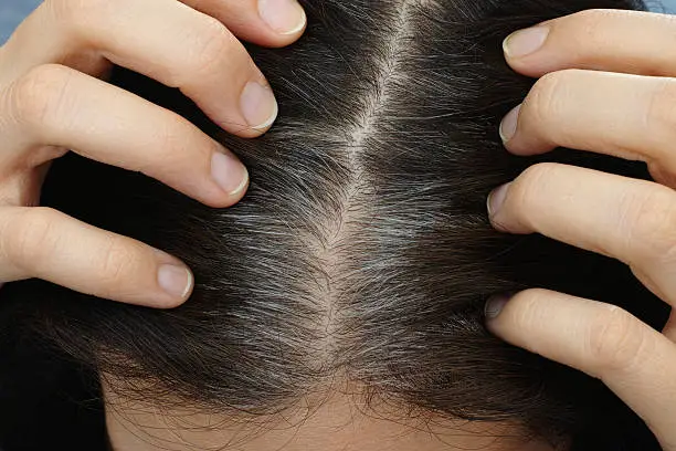 Going gray. Young woman shows her gray hair roots.