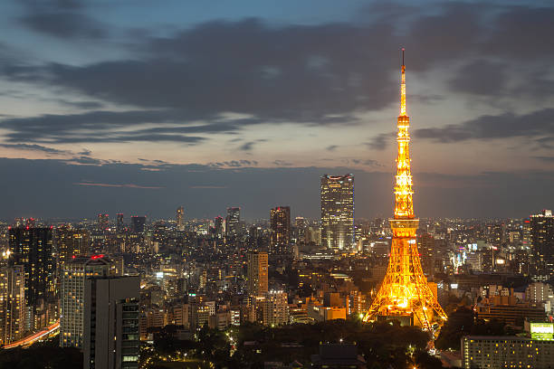 istock Tokyo, Japan City Skyline 538855513