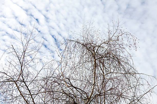 Cloudscape stock photo