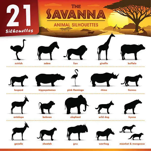Vector illustration of Twenty one Savanna animal silhouettes