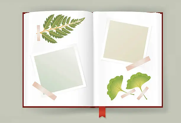 Vector illustration of Opened Album With Blank Photo Frames And Dried Leaves