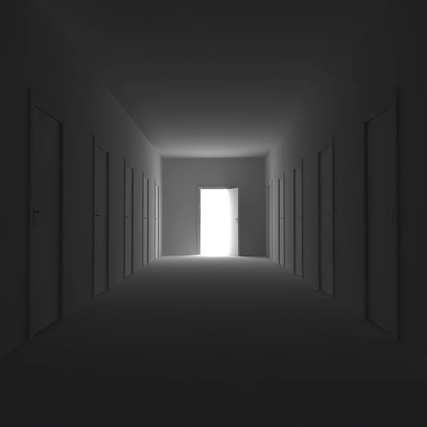istock Dark corridor with closed doors 538858855
