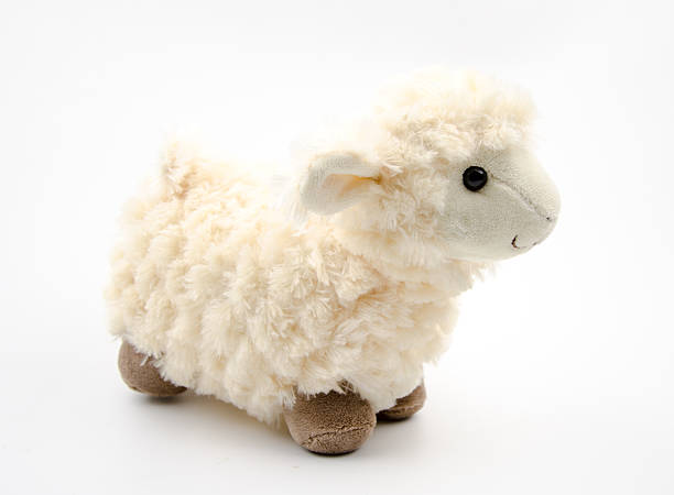 istock sheep toy isolated on a blue background 538858867