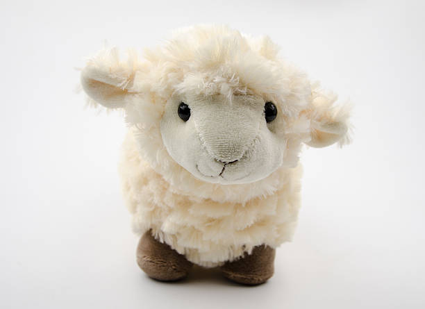istock sheep toy isolated on a blue background 538858875