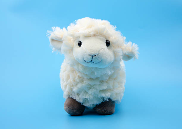 istock sheep toy isolated on a blue background 538858885