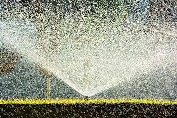 istock Water spraying from sprinkler to the green yard 538863294