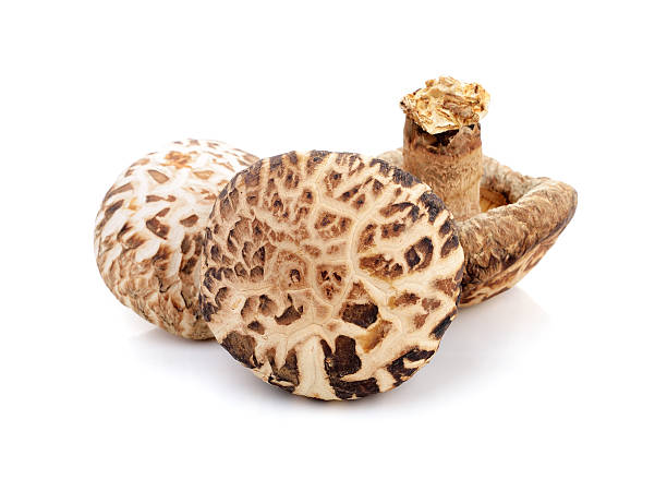 istock Dry Shiitake Mushroom isolated on white 538864172