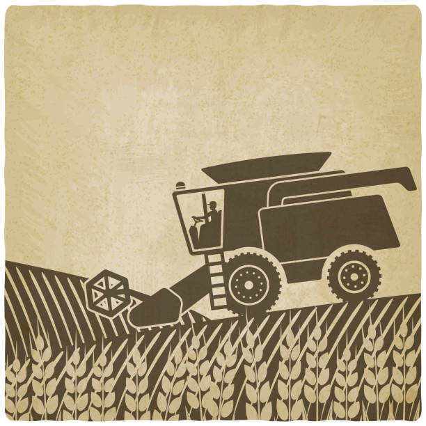 illustrazioni stock, clip art, cartoni animati e icone di tendenza di mietitrebbia nel campo vecchio sfondo - agricultural machinery retro revival summer farm