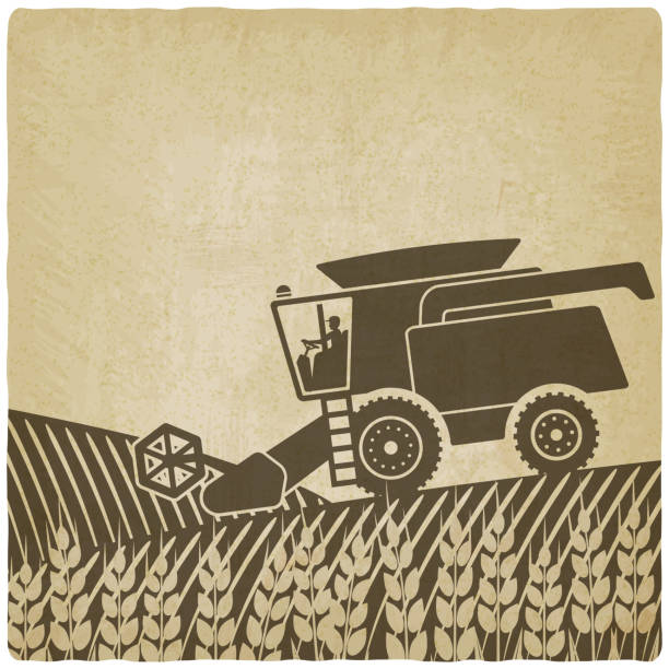 컴바인 수확기 필드에 늙음 배경기술 - agricultural machinery retro revival summer farm stock illustrations
