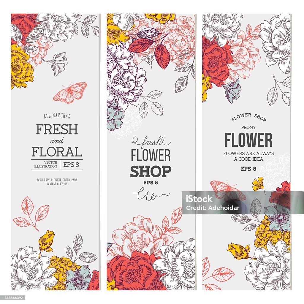 Flores de peonía Vintage banner collection. Gráficos lineales conjunto de banners florales. - arte vectorial de Flor libre de derechos